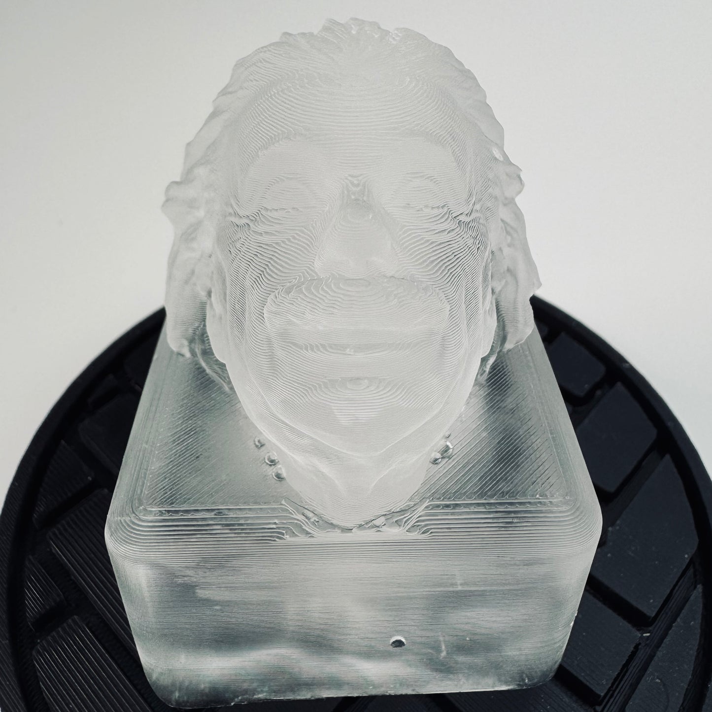 Albert Einstein Ice Mold - your favorite physicist on ice