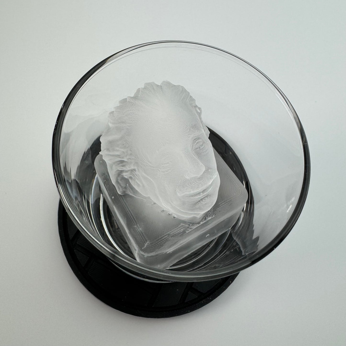 Albert Einstein Ice Mold - your favorite physicist on ice