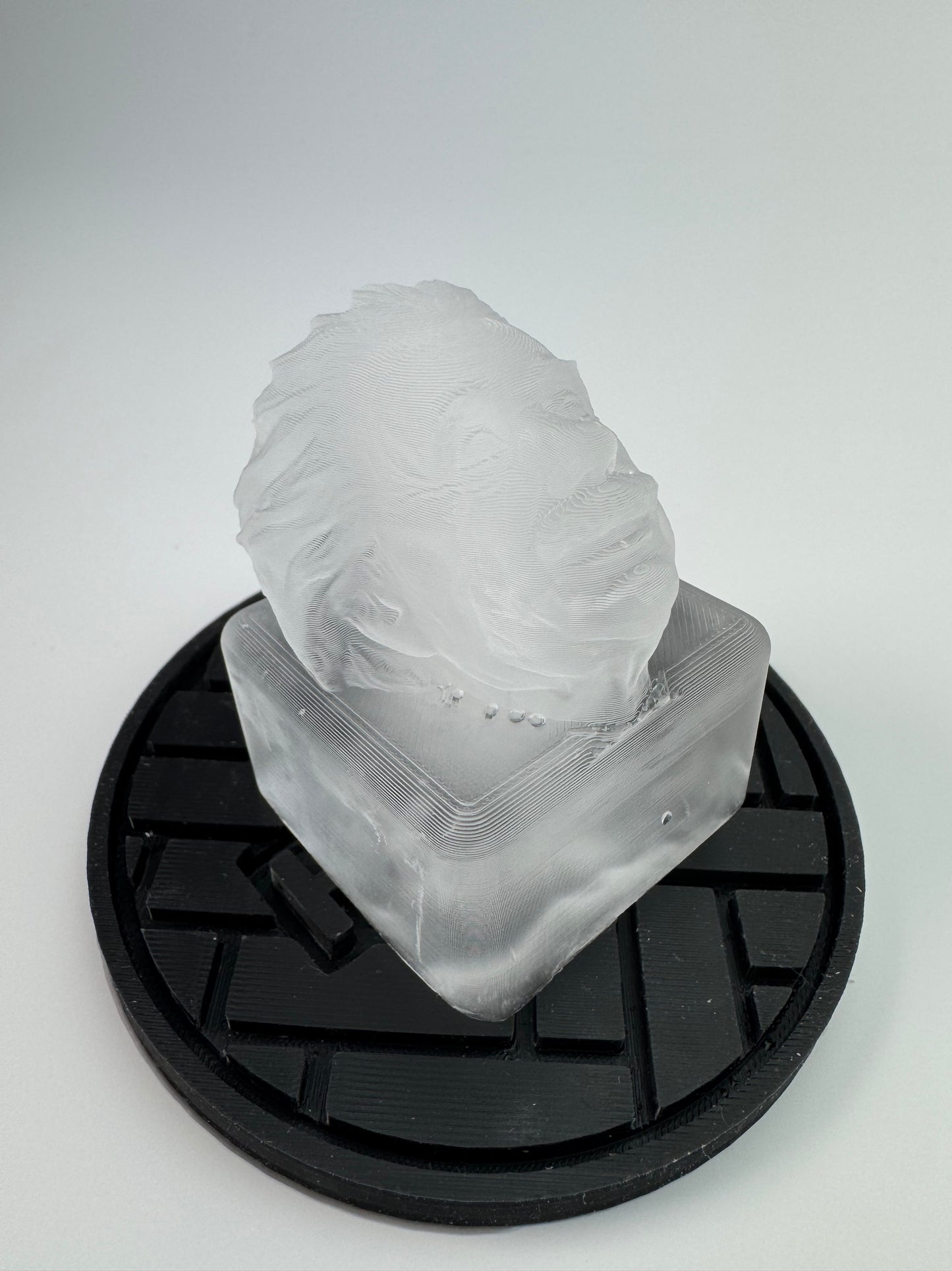 Albert Einstein Ice Mold - your favorite physicist on ice