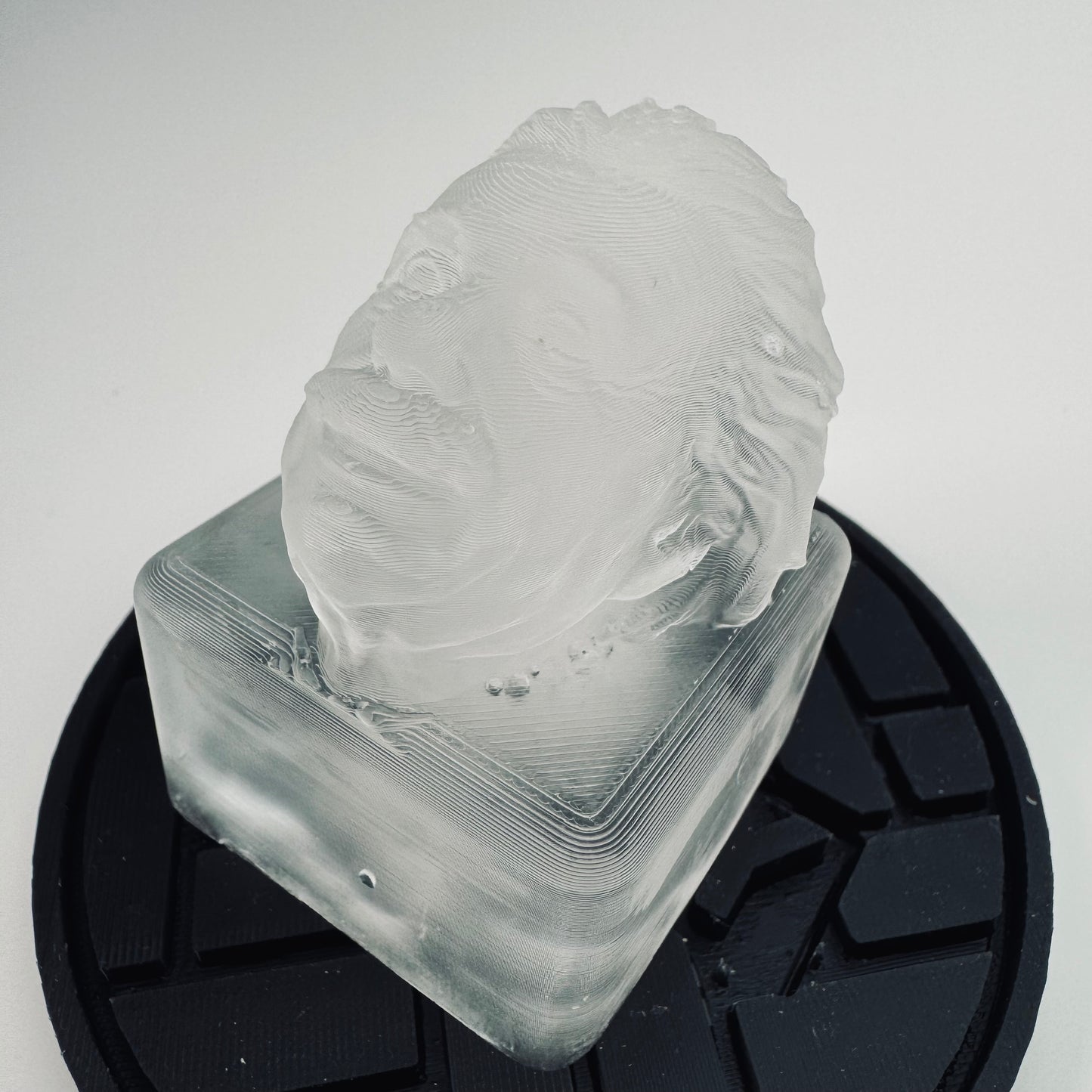 Albert Einstein Ice Mold - your favorite physicist on ice