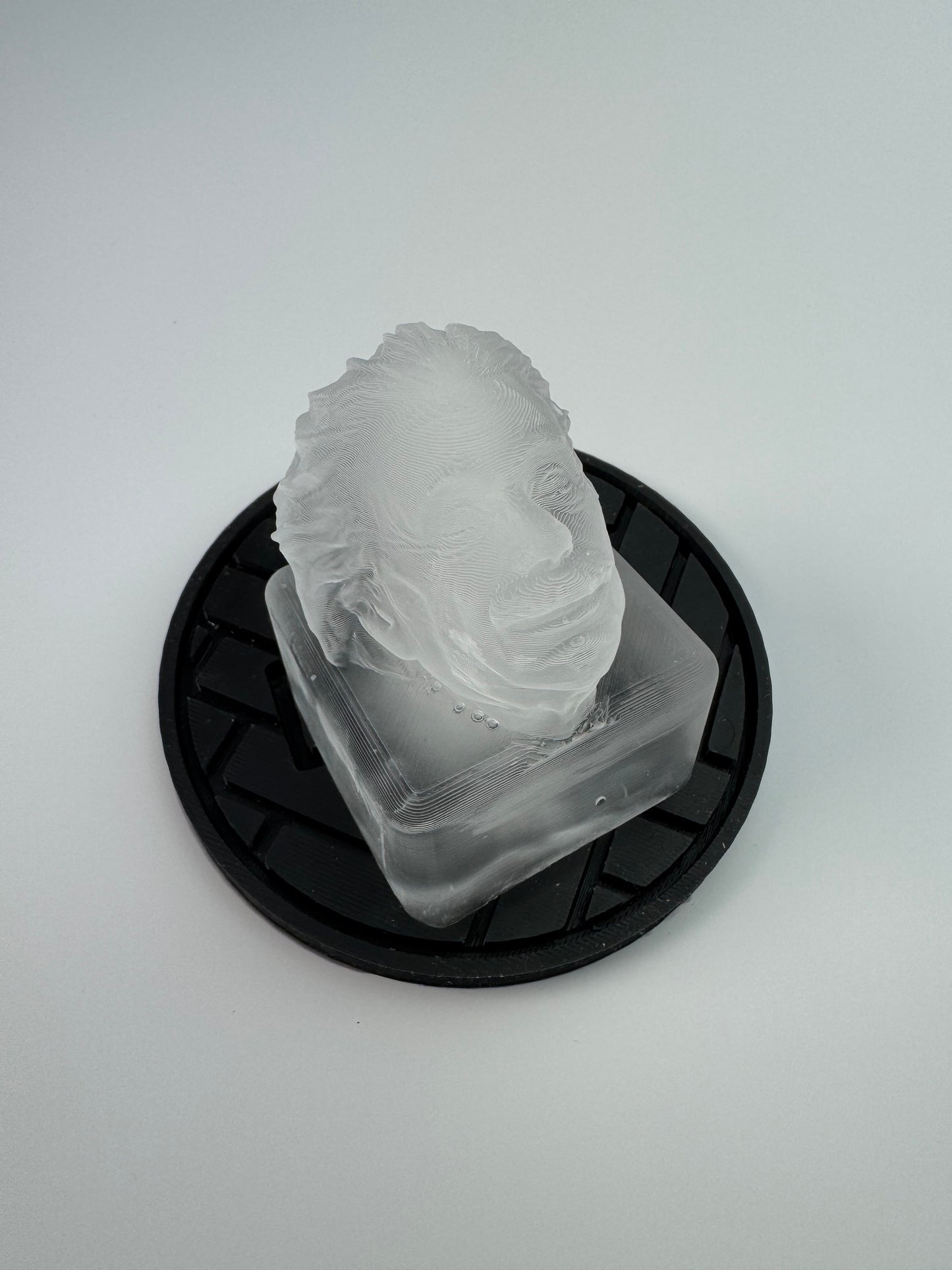 Albert Einstein Ice Mold - your favorite physicist on ice