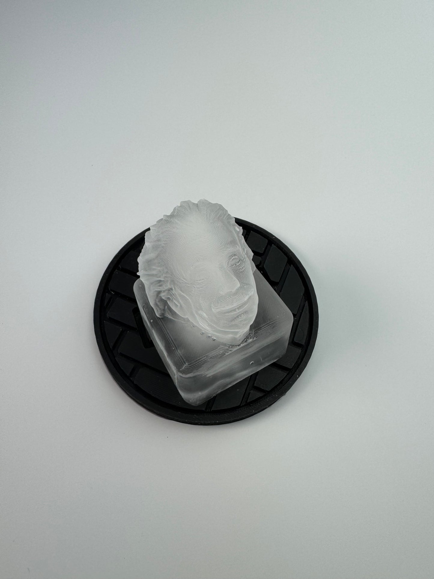 Albert Einstein Ice Mold - your favorite physicist on ice