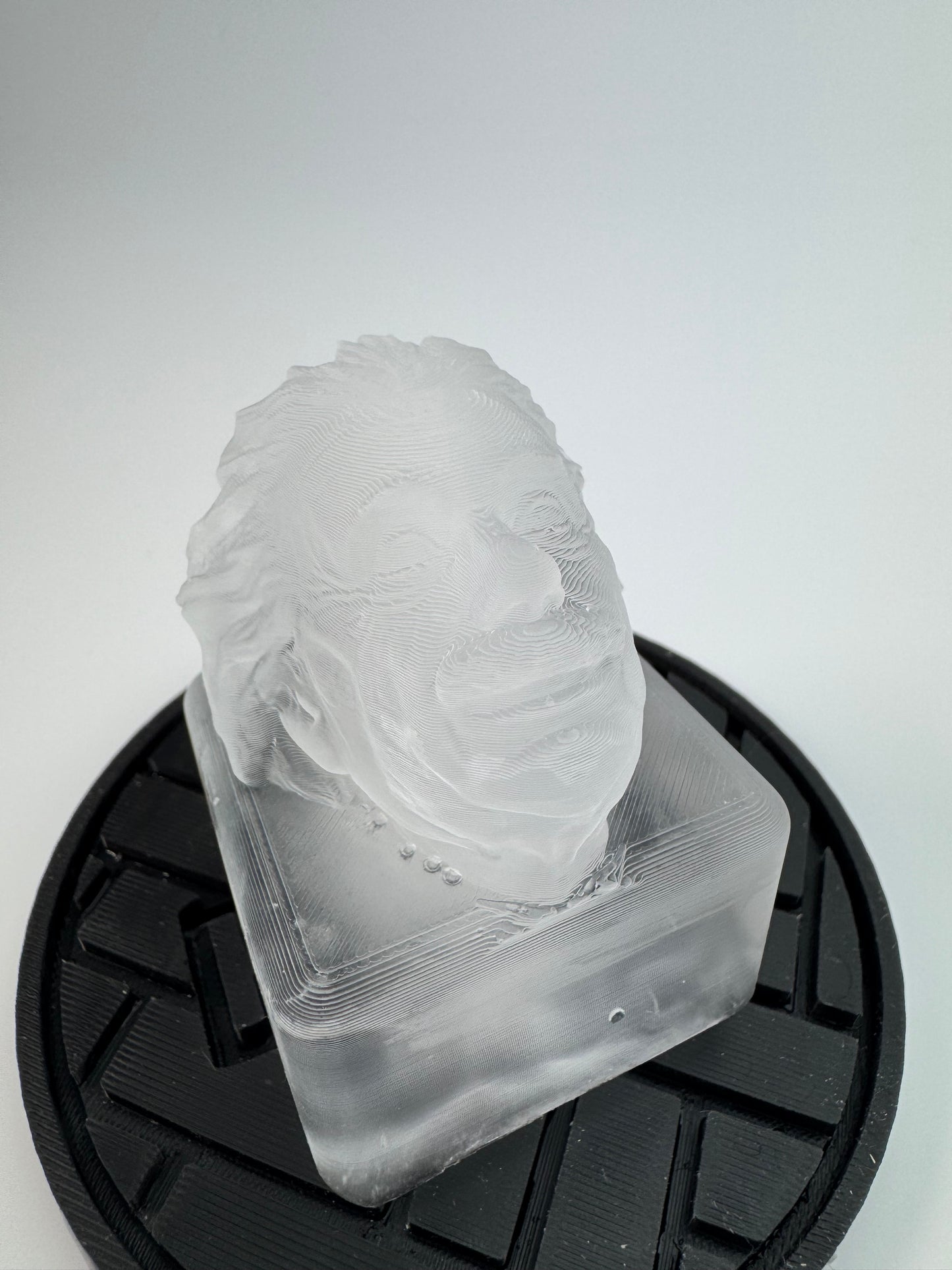 Albert Einstein Ice Mold - your favorite physicist on ice