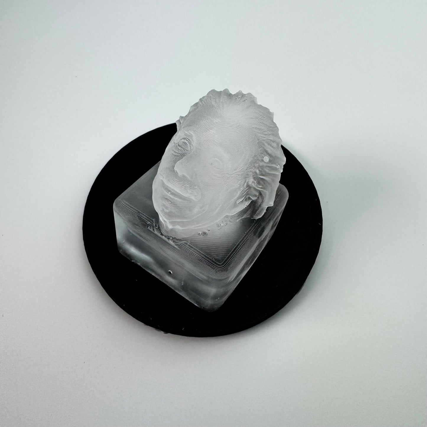 Albert Einstein Ice Mold - your favorite physicist on ice