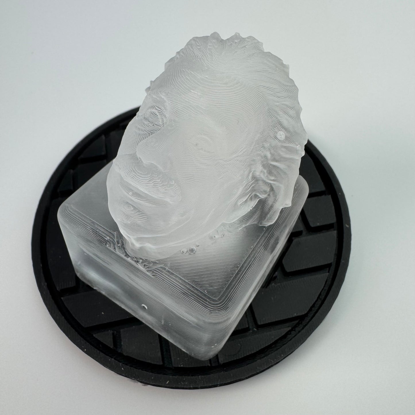 Albert Einstein Ice Mold - your favorite physicist on ice