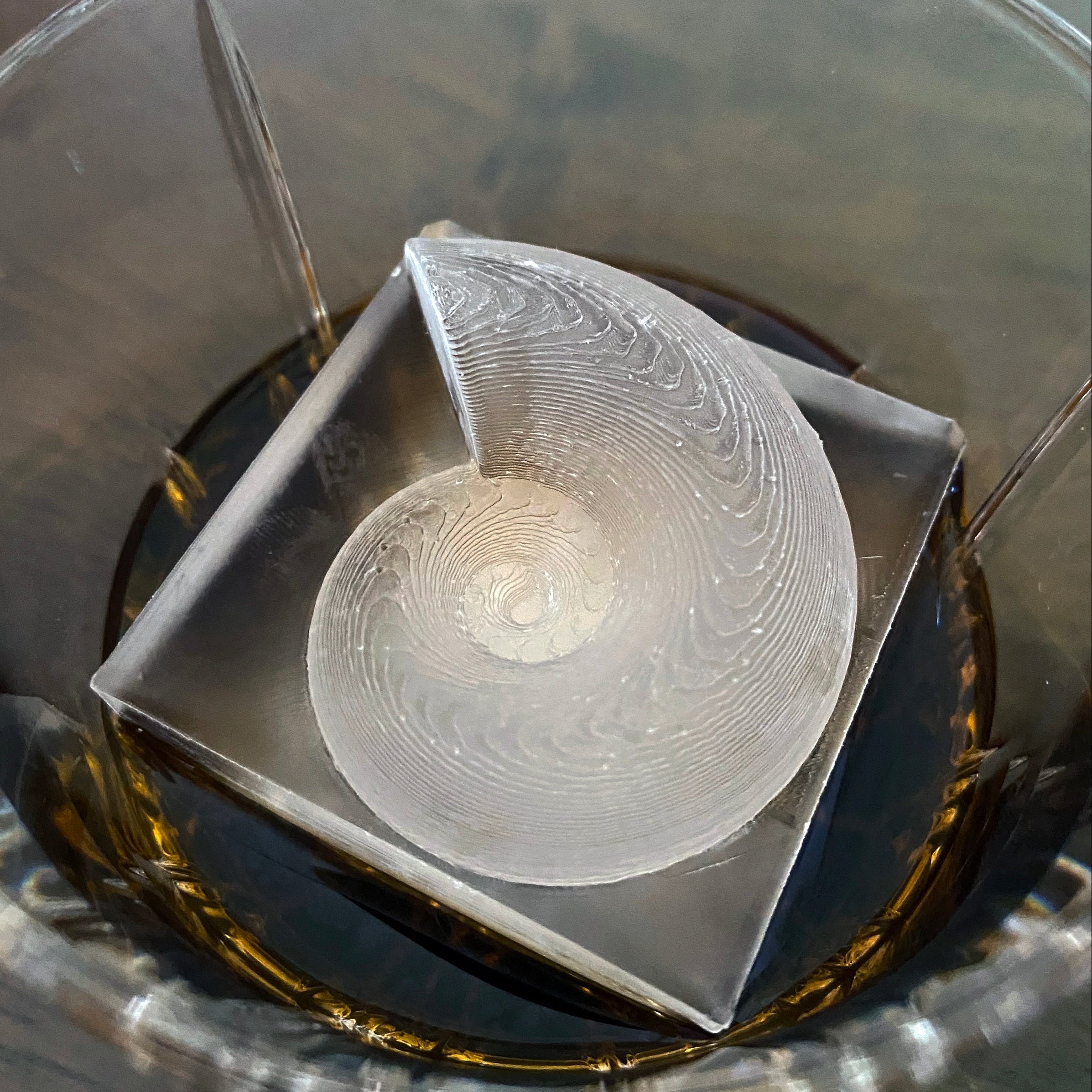 cocktail glass with a nautilus ice cube