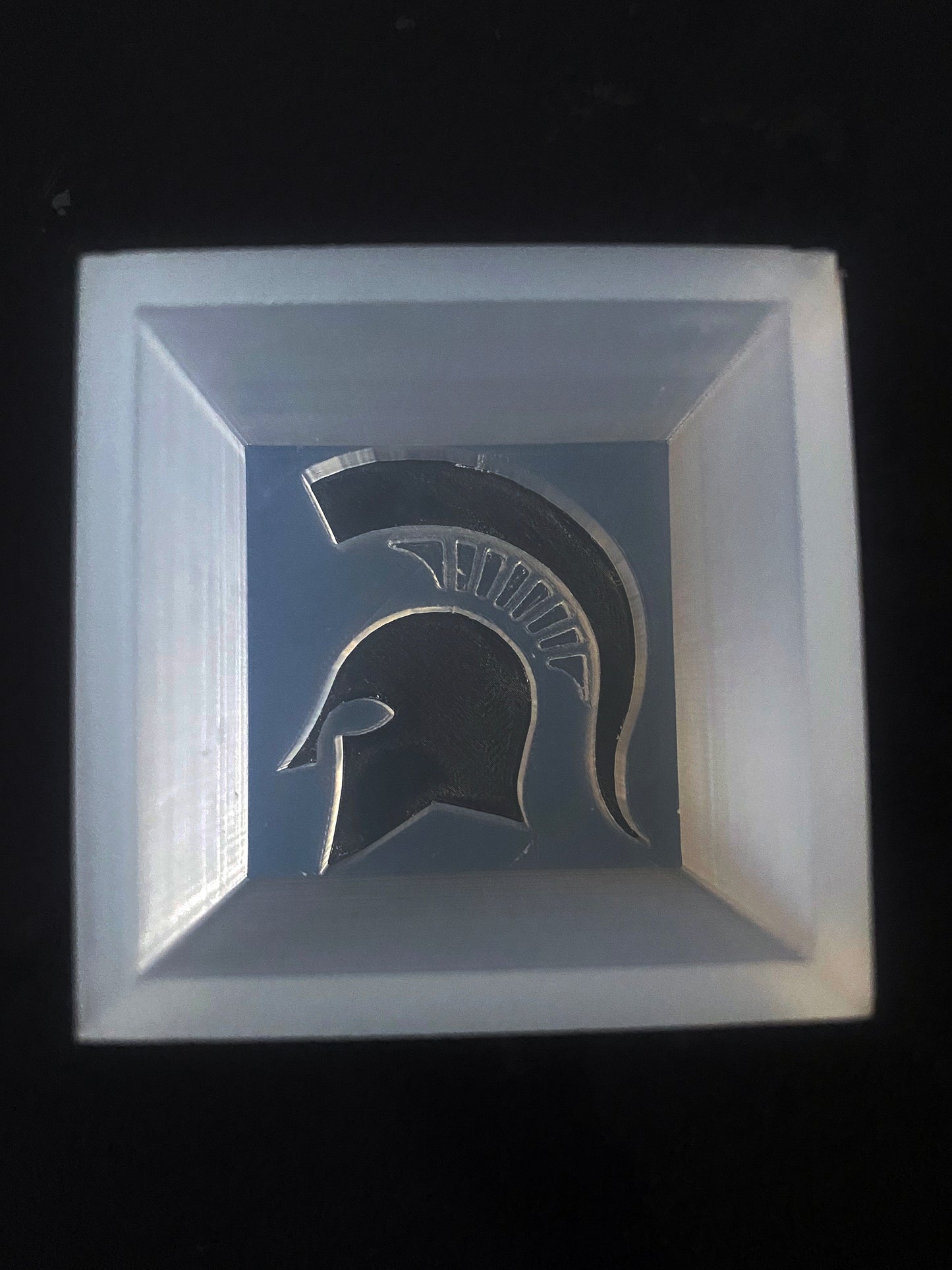 Molde para cubitos de hielo Spartan