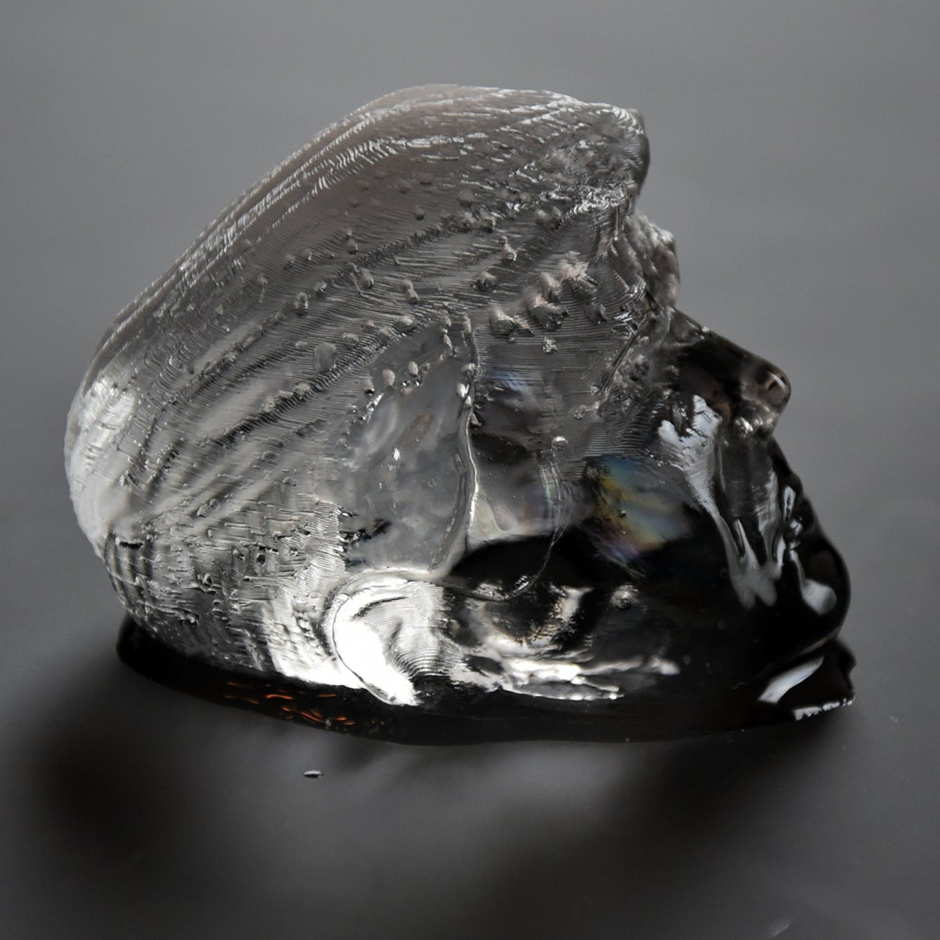 Trump Ice Mold - Honest Ice