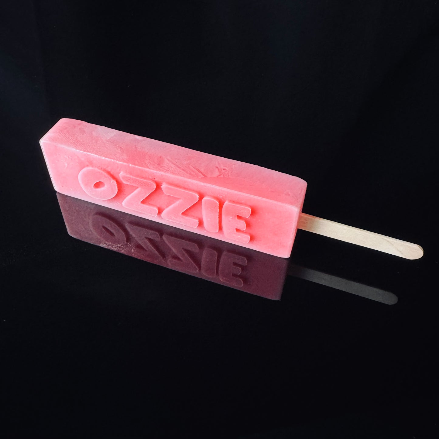 Custom Popsicle Tray - Personalized Silicone Mold (Regular)